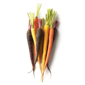 colored-carrots